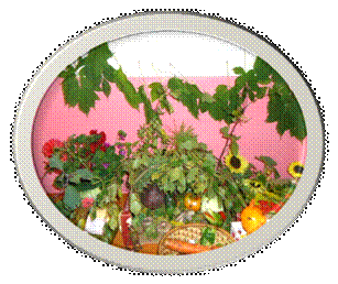 I:\фото школа\школьные фото\DSC00019.JPG