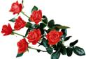 http://*****/images/attach/c/4/78/662/_1000014.jpg