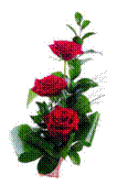 http://fotos3.cdn.maases.com/labeled/00/00/40/13/35/175_f8925d_o.jpg