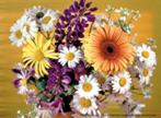 http://*****/images/foto/b/3/281/2037281/f_.jpg