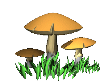 ��������: http://*****/kartinki/kartinki_03_1/brown_mushrooms_dance_hc.gif