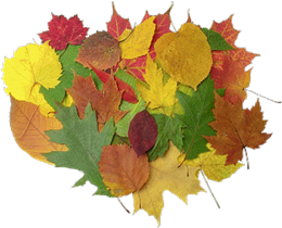 ��������: http://*****/kartinki/kartinki_03_1/pile_of_leaves_2.gif