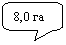 ����������� ������������� �������: 8,0 ��