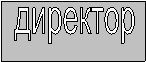 директор