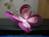http://*****/uploads/images/d/3/b/0/9/9b48185b36.jpg