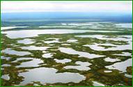 http://*****/uploads/information/usinsk_peatbog1.jpg