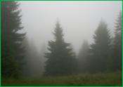 http://baleha.org.ua/land/photos/43.jpg