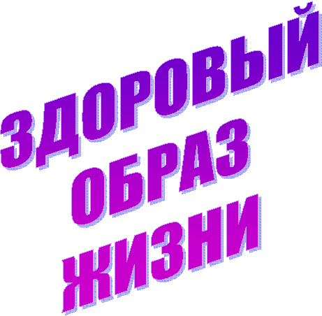 ��������

�����

�����