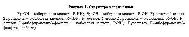 Подпись: Рисунок 1. Структура корриноидов.
R1=OH – кобириновая кислота; R-NH2; R1=OH – кобировая кислота; R-OH; R1-остаток 1-амино-2-пропанола – кобиновая кислота; R=NH2; R1-остаток 1-амино-2-пропанола – кобинамид; R=OH; R1-остаток D-рибофуранозил-З-фосфата – кобамовая кислота; R-NH2: R1=остаток D-рибофуранозил-З-фосфата – кобамид