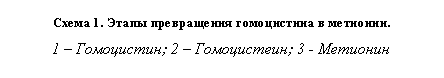 �������: