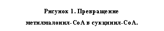 Подпись: