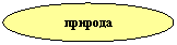 ����: �������