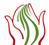 http://*****/ru/images/stories/img/expo/2007/oncolgy_conference_perm-kazan/oncology_logo-1_.gif