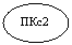 Овал: ПКс2