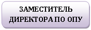 Скругленный прямоугольник: ЗАМЕСТИТЕЛЬ ДИРЕКТОРА ПО ОПУ