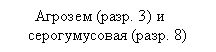 �������: