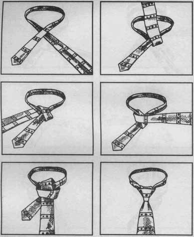 knots_60.jpg (24024 bytes)