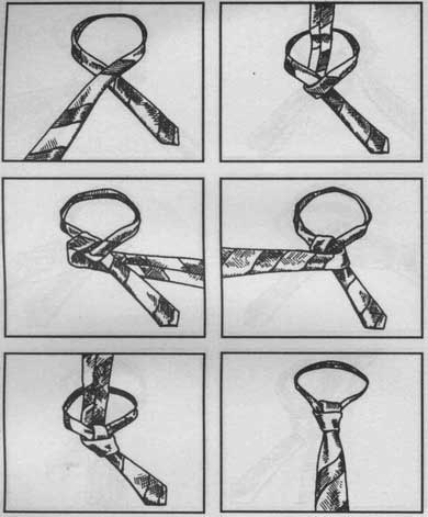 knots_62.jpg (22607 bytes)