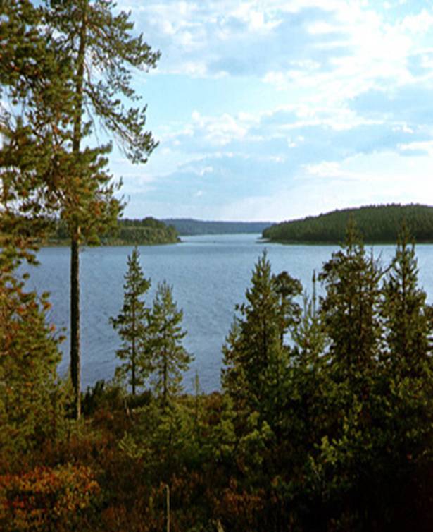 Глава_3