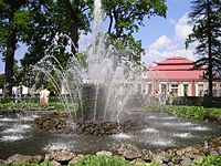 SnopFountain Peterhof.jpg