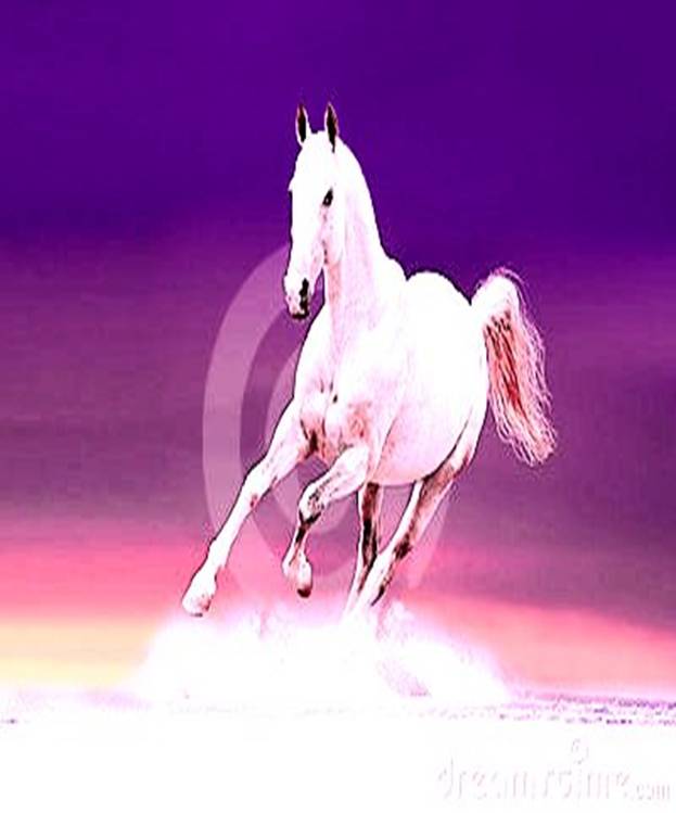 ��������: