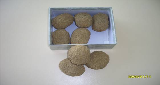 SDC11828.JPG