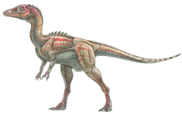 http://www.cedargrove.k12.nj.us/north/media/images/eoraptor_lunensis.gif
