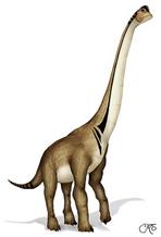 http://*****/pictures/wiki/files/50/275px-ultrasaurus_lecire.jpg