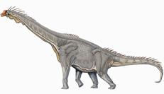 Файл:Brachiosaurus DB.jpg