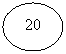 ����: 20