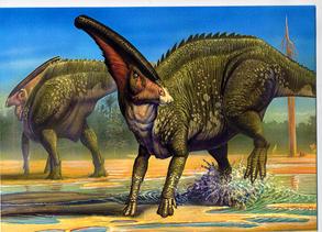 http://0.tqn.com/d/dinosaurs/1/0/x/2/-/-/duckbillluisrey.jpg