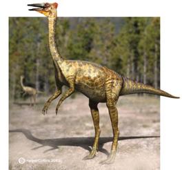 http://*****/images/attach/c/0/40/421/_Pelecanimimus.jpg