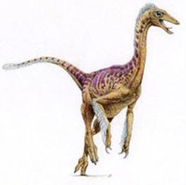 http://i34.photobucket.com/albums/d131/RAGE27/ig59_Dromiceiomimus5_09.jpg