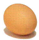 egg"