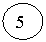 ����: 5