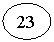 ����: 23