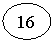 ����: 16