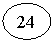 ����: 24