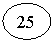 ����: 25