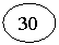 ����: 30