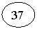 ����: 37