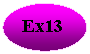 ����: Ex13