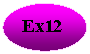 ����: Ex12