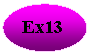 ����: Ex13