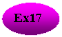 ����: E Ex17