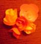 C:\Users\������\Desktop\����� ����� (4)\DSC08660.JPG