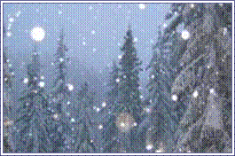 "Просмотры: 4825"
