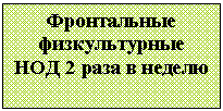 Подпись: Фронтальные физкультурные НОД 2 раза в неделю
