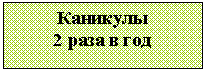 Подпись: Каникулы
2 раза в год