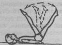 image46